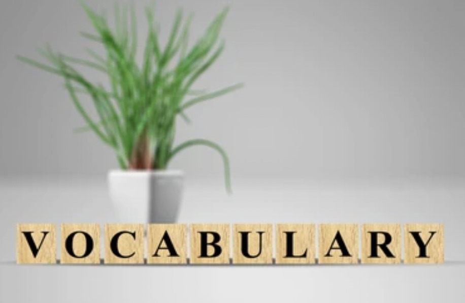 vocabulary expansion tools